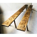 BENCHES, a pair, 19th century French elm, rectangular on angled supports, 280cm x 24cm x 43cm H.