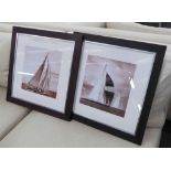 CONTEMPORARY SCHOOL, marine photography diptych, framed and glazed.