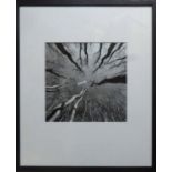 A SET OF SIX BLACK AND WHITE PHOTOPRINTS, in black glazed frames, 36cm x 43cm overall each.