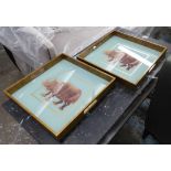 COCKTAIL TRAYS, a pair, vintage style gilt finish with rhino detail, 40cm x 40cm x 5cm.