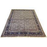 MAHI DESIGN CARPET, 255cm x 203cm,