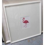 CATHERINE WILMAN INTERIORS 'FLAMINGO', indistinctly signed, framed and glazed, 78cm x 74cm.