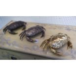 FONDICA CO ART CRAB TRAYS, a set of three, 32cm W.