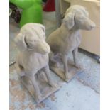 COUNTRY ESTATE DOG STATUES a pair in cotswold stone style weathered finish 72cm high (2).