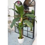 FAUX BANANA PALM, potted, 39cm H.