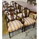 DINING CHAIRS, a set of eight, by Century Furniture Co.