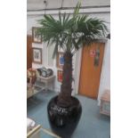 PALM TREE, in a large earthen ware planter, approx 300cm H (with faults).