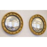 CONVEX WALL MIRRORS, two similar, Regency style giltwood, 48cm and 43cm respectively.