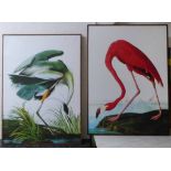 AFTER JOHN JAMES AUBUDON, a set of two prints from the Birds of America, 113cm x 83cm.