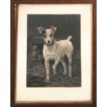 THOMAS BLINKS (1860-1912) 'Jack Russell, Terrier and Ferrets', etching, 53cm x 40cm, framed.