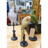 MENAGERIE OF EXOTIC BIRDS, collection of three, stylised studies on perches, Largest 52cm H.