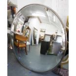 CONVEX MIRROR, of substantial proportions with a narrow silvered frame.