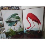 AFTER JOHN JAMES AUDUBON, a set of two prints, from 'The Birds of America' prints on canvas,