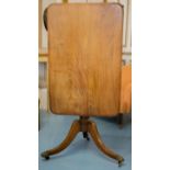 PEDESTAL TABLE, Regency mahogany with rectangular tilt top on brass paw caps and castors,