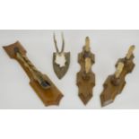 HUNTING TROPHIES, a pair, hooves on elm plaques, 51cm H, another mounted hoof, 62cm H and a skull,