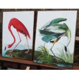 AFTER JOHN JAMES AUBUDON, a set of two prints, from the Birds of America, framed, 113cm x 83cm.