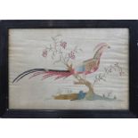 NEEDLEWORK 18TH CENTURY 'Golden Pheasant', signed and dated to label verso 'Ann Jutty 1709', framed.