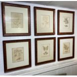 19TH CENTURY BOTANICAL SEAWEED ENGRAVINGS, a set of six, framed and glazed, 53cm x 47.5cm.