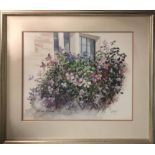 JOE HYNES CLEMATIS POLPERRO, watercolour 39cm x 47cm, signed, framed.