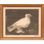 PABLO PICASSO, 'La colombe de la paix', lithograph, signed in the plate, stamped Mourlot,
