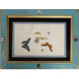 A PAIR OF CHINESE WATERCOLOURS, of Butterflies and Insects, 21cm x 31cm each, framed and glazed.