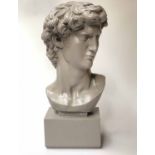 CLASSICAL BUST, painted resin bust of David, 56cm H.