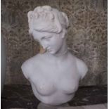 BUST OF A LADY, 37cm H.