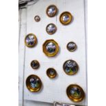 CONVEX WALL MIRRORS, a collection of twelve, Regency style of various styles and descriptions,