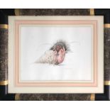 WILLY FEILDING (B.1941) 'Hermit Crab', watercolour, signed and dated 84, 26cm x 37cm, framed.