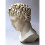 CLASSICAL HEAD, cast moulded head of classical boy figure, 46cm H.