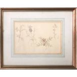 19th CENTURY SCHOOL 'Botanical Studies of Wild Flowers', a set of three watercolours, 18cm x 27cm,