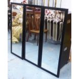 WALL MIRRORS, a set of three, contemporary, 120cm x 45cm.