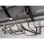 CONTEMPORARY SCHOOL, antler ceiling pendant, 120cm drop approx.