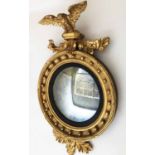 REGENCY CONVEX WALL MIRROR, carved giltwood the circular plate with ebonised slip,