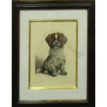 MAYA FABERHARDT 'Puppies', a pair of coloured etchings, signed, 35cm x 25cm and 30cm x 33cm,