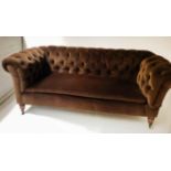 VICTORIAN CHESTERFIELD SOFA, brown velvet upholstered, with drop end, 200cm W.