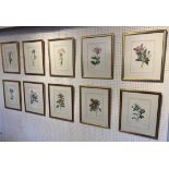 BOTANICAL COLOURED ENGRAVINGS, a set of ten, after Pierre-Joseph Redoute, each 49cm x 39cm,