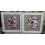 CONTEMPORARY SCHOOL, roses diptych, indistinctly signed, 83cm x 83cm. (2) (glazing lacking to one