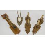HUNTING TROPHIES, a pair, hooves on elm plaques, 51cm H, another mounted hoof, 62cm H and a Roe Deer