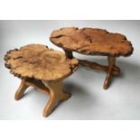 'ACORN' TREE SECTION TABLES, two burr elm tree rustic section tables on trestle supports each