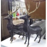 CONTEMPORARY SCHOOL BRONZE STAGS, a pair, 62cm H. (2)