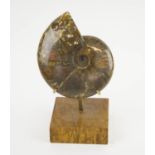 AMMONITE ON STAND, ex Christies, Paris, 2011, 22cm H.