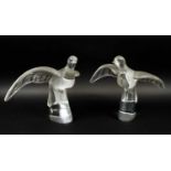 LALIQUE COLOMBE CLITA DOVES, two, in flight, frosted glass, 25cm H x 33cm. (2)