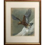 G J C KIEBY (b.1912) 'Pheasants' and 'Golden Eagle', gouache, signed , 25cm x 21cm, framed.