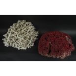 CORAL, two antique specimens, one red the other white fan form, fan 45cm x 33cm and red 40cm x 40cm.