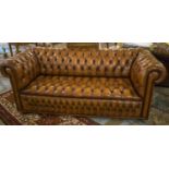 CHESTERFIELD SOFA, Victorian style hand dyed leaf brown leather with deep button upholstered back,