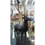 CONTEMPORARY SCHOOL, bronze stags, a pair, 63cm H approx. (2)