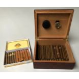 HUMIDOR, burr walnut cased together with a quantity of cigars, 26cm x 22cm x 12cm.