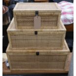 RATTAN TRUNKS, a graduated set of three, largest 72cm W. (3)