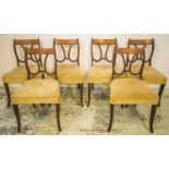 DINING CHAIRS, a set of six, late George III mahogany and satinwood, circa 1800, with striped velvet